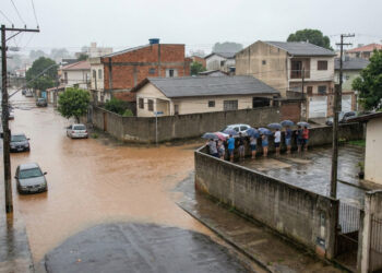 Mais de 900 municípios brasileiros entraram no radar federal por recorrência de enxurradas ou inundações e presença de moradores em áreas de risco