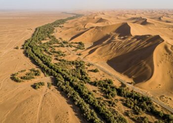 China ergue uma “nova muralha” com bilhões de árvores para segurar o avanço do deserto, e ela já aparece em imagens de satélite