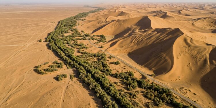 China ergue uma “nova muralha” com bilhões de árvores para segurar o avanço do deserto, e ela já aparece em imagens de satélite