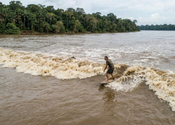 Pororoca: a onda que sobe o rio contra a correnteza na Amazônia e vira atração para surfistas