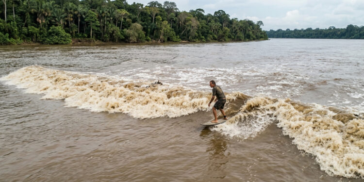 Pororoca: a onda que sobe o rio contra a correnteza na Amazônia e vira atração para surfistas