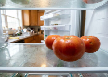 O tomate perde aroma na geladeira porque o frio reduz a atividade de genes, mas existe mesmo uma temperatura limite?