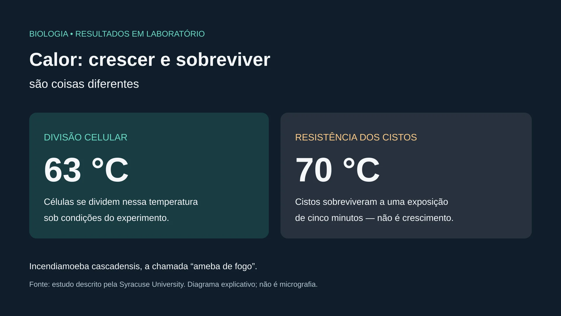 Diagrama compara divisão celular a 63 °C com sobrevivência de cistos por cinco minutos a 70 °C; são resultados distintos do experimento com a ameba de fogo.