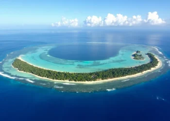 Ilustração, vista aérea de um atol de coral em forma de anel, com borda de coqueiros e praias brancas cercando uma lagoa turquesa, em meio ao oceano azul-escuro.