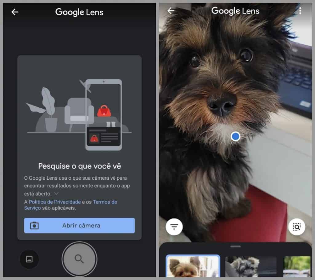 pesquisa de imagem pelo google lens