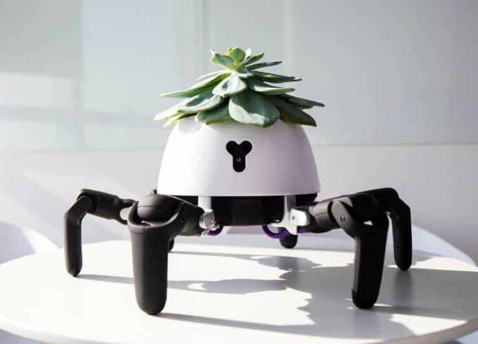 'Robô-vaso' leva sua planta para o sol e avisa quando ela precisa de água