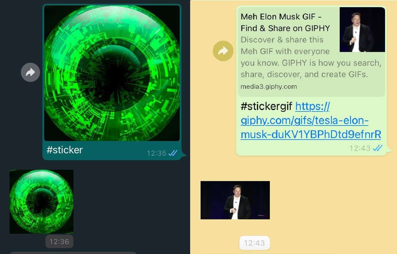 Bot do WhatsApp transforma imagens e GIFs em figurinhas rapidamente - Olhar  Digital