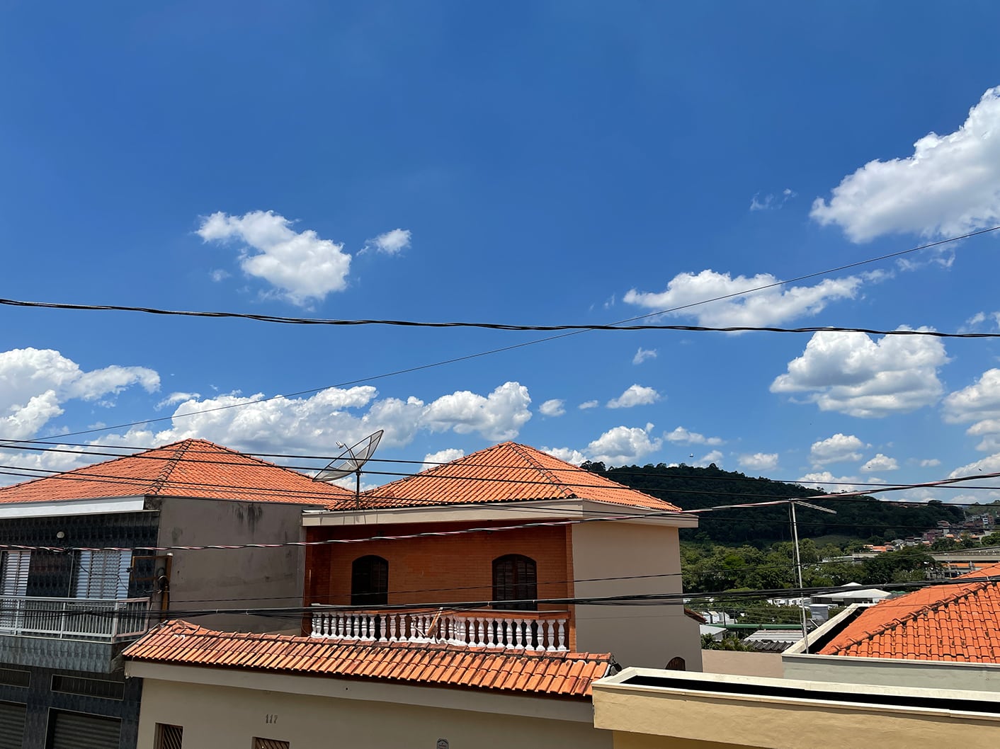 Reprodução