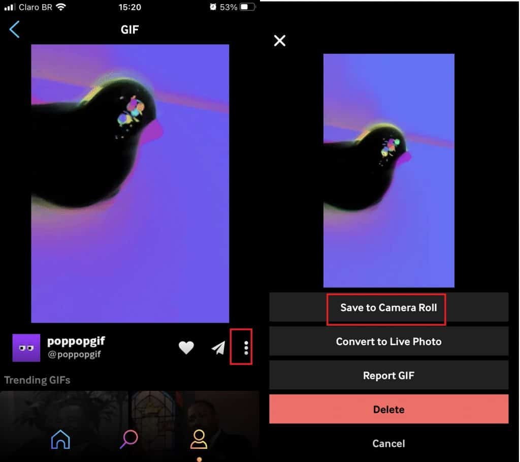 Captura de tela do iPhone mostra funcionamento do Giphy