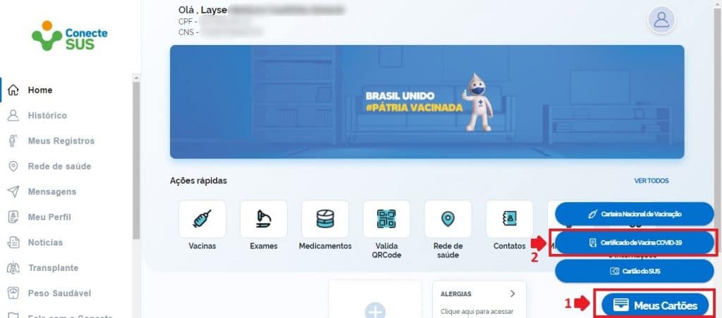 Como emitir certificado de vacina no Conecte Sus