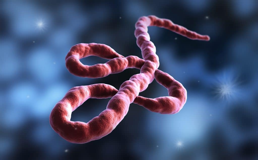 Vírus do Ebola