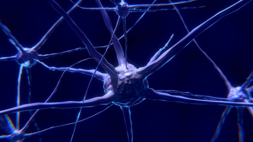 Ilustração de neurônios