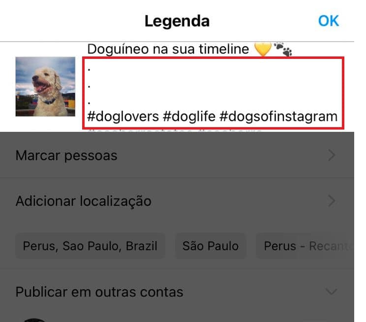 Como deixar hashtags "invisíveis" no Instagram. Imagem: Olhar Digital