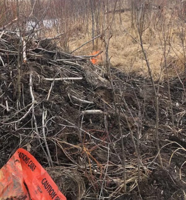 Represa construída pelos castores. A fita usada para alertar sobre a presença do cabo pode ser vista no canto inferior esquerdo. Infelizmente, castores não sabem ler. Imagem: CBC