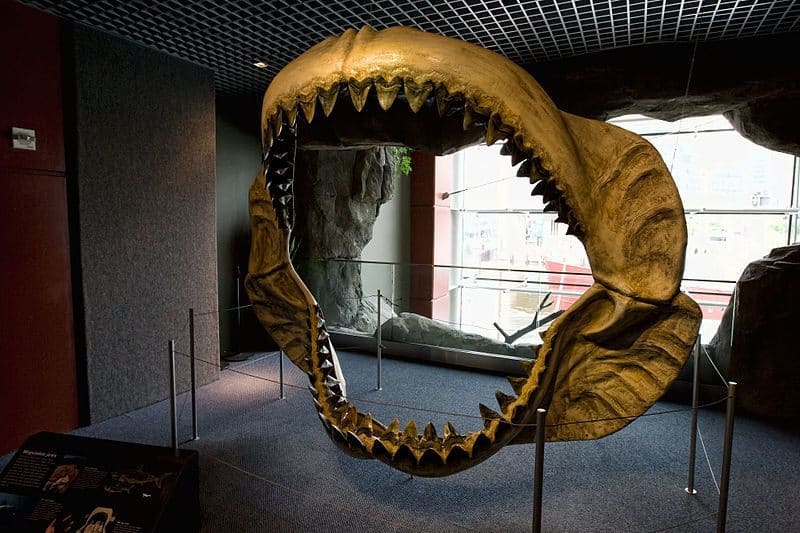 Réplica das mandíbulas do Megalodon no National Aquarium, em Baltimore, nos Estados Unidos