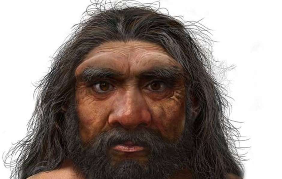 homo longi