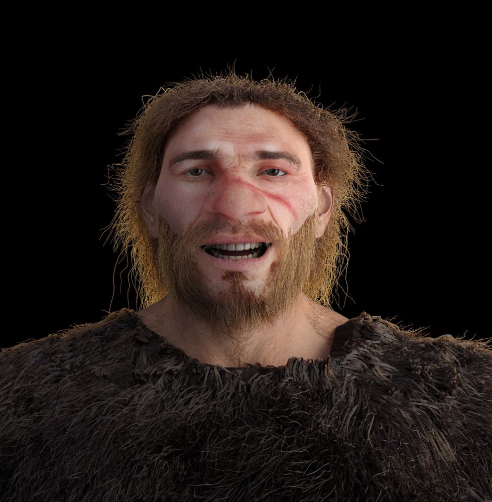 homo neandertal