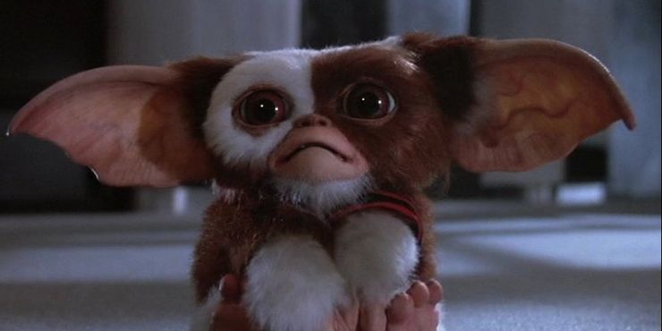 'Gremlins': 10 easter eggs de Steven Spielberg que nunca foram notados. Imagem: Warner Bros./Reprodução