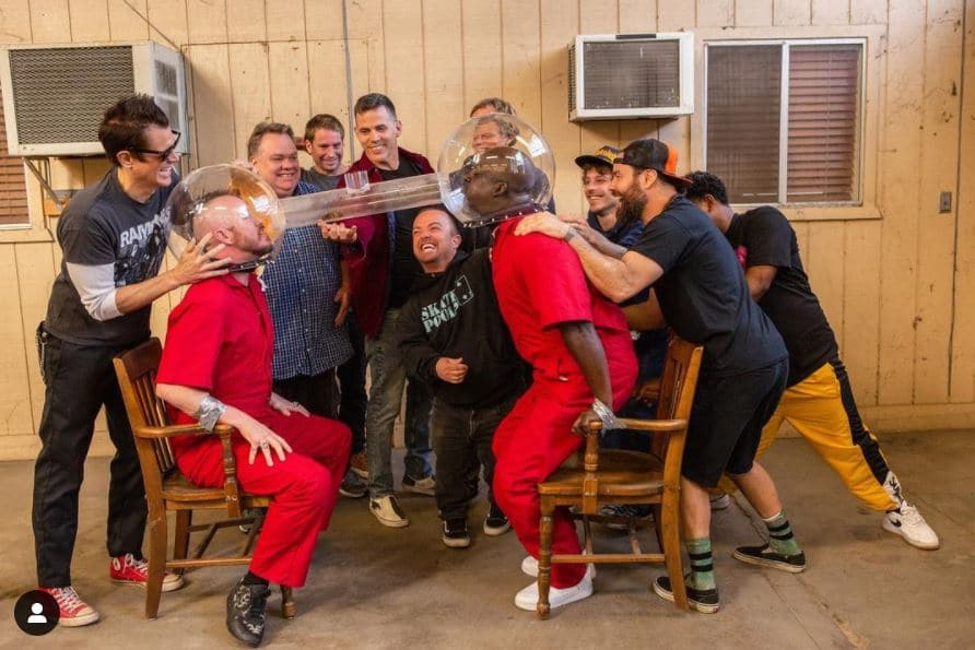 jackass