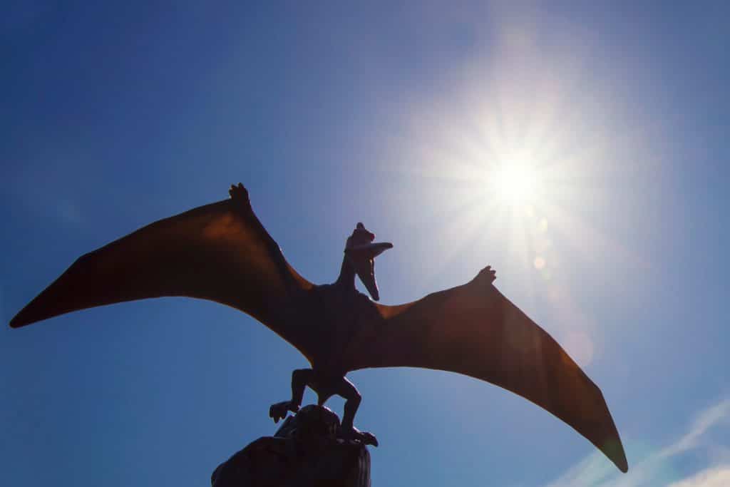 Imagem mostra um pteranodonte, réptil voador da classe dos pterossauros que, segundo cientistas, nasciam sabendo voar