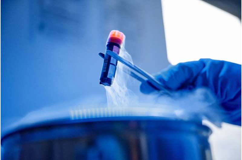 Imagem exibe um tubo de ensaio recolhido de um tanque refrigerado, contendo amostras de peixes criados em laboratório pela empresa Bluu GmbH
