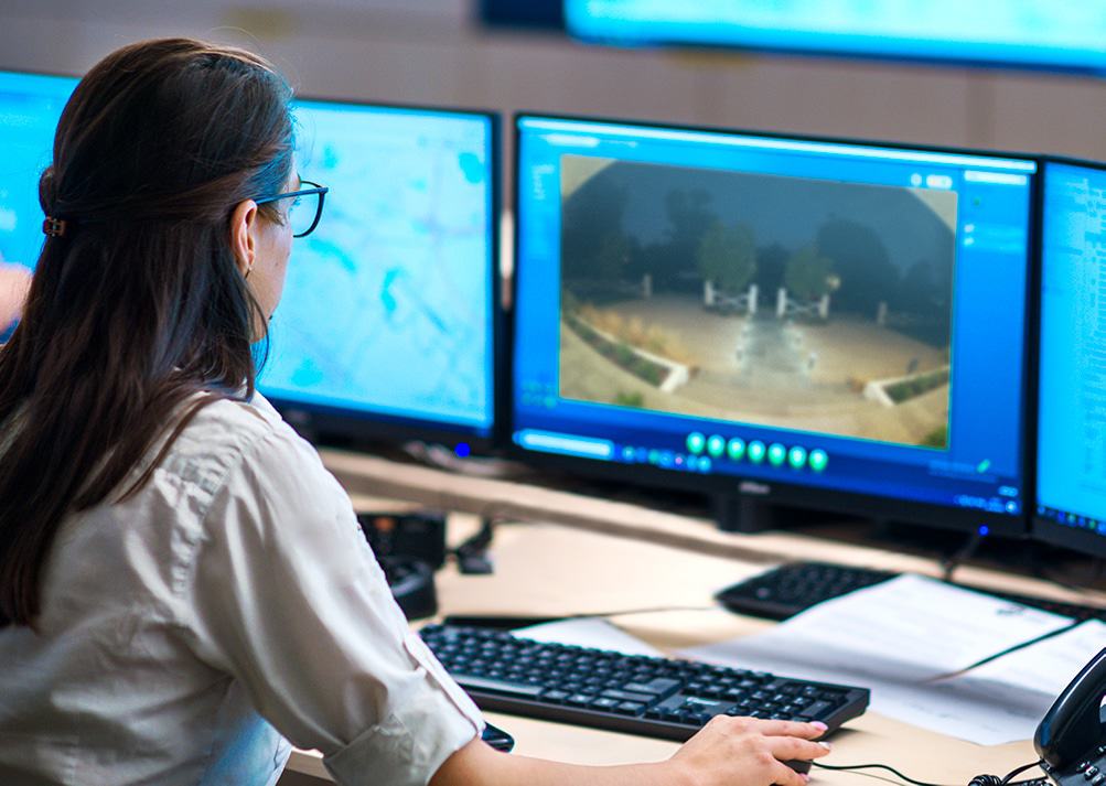 Virtual Security Guard