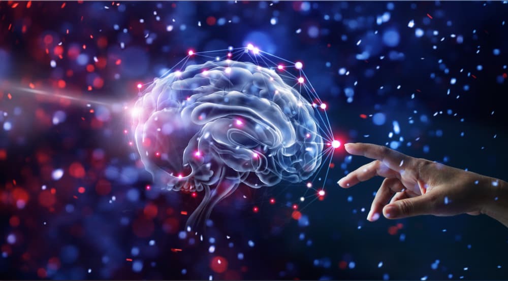 Imagem de um cérebro sendo tocado por uma mão humana. Projeto brasileiro de mapeamento cerebral será financiado pela Chan Zuckerberg Initiative, do cofundador do Facebook