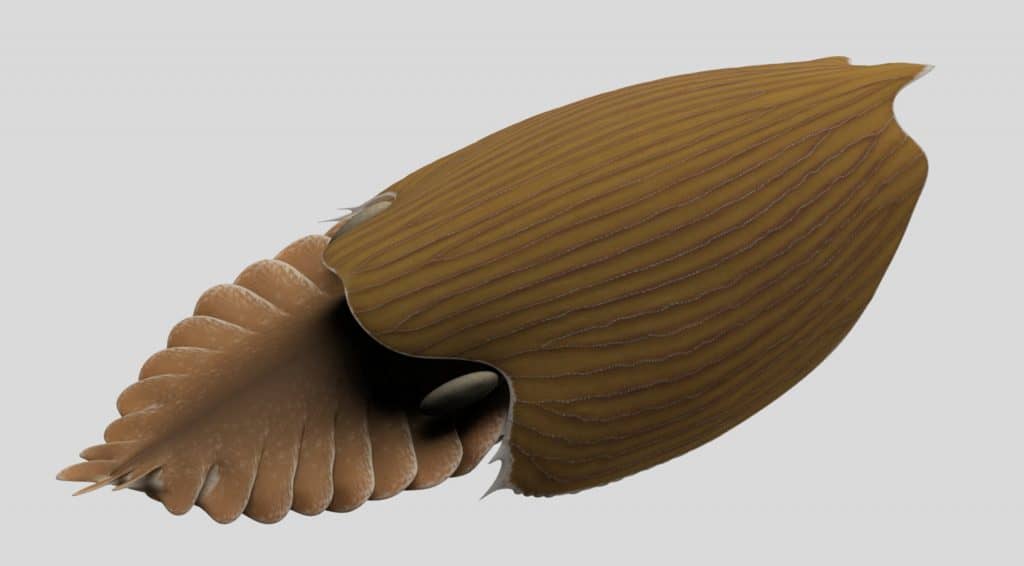 Renderização em 3D do Titanokorys gainesi