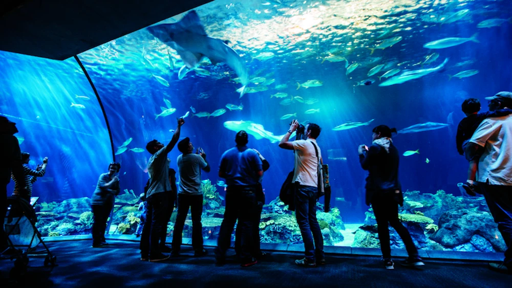 Imagem mostra o Aquário de Shedd, nos EUA, onde micróbios roubavam os remédios de peixes