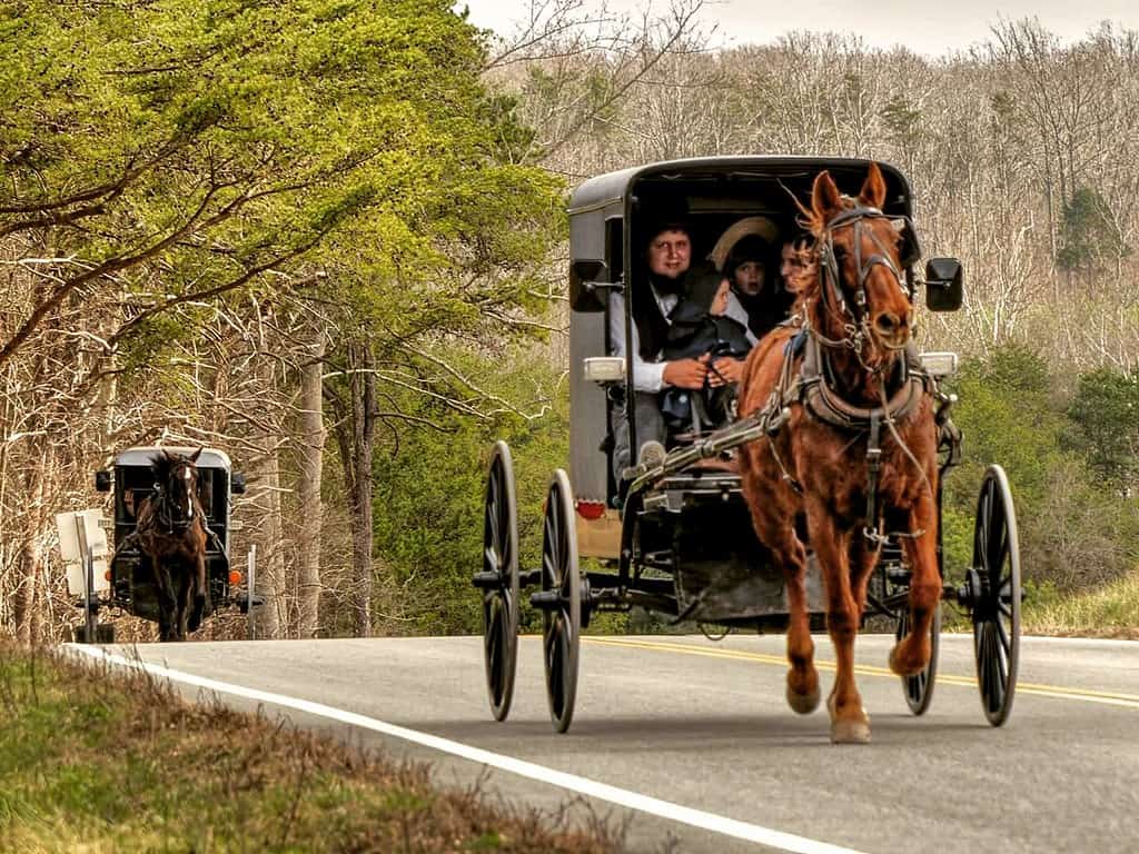 Família Amish em uma carroça