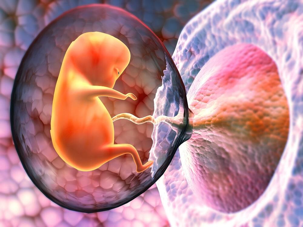Composição de placentas pode ser novo tratamento para lesões cerebrais em bebês; entenda. Imagem: Explode/iStock