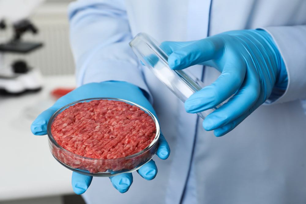 Cientista segurando uma placa com carne moída cultivada