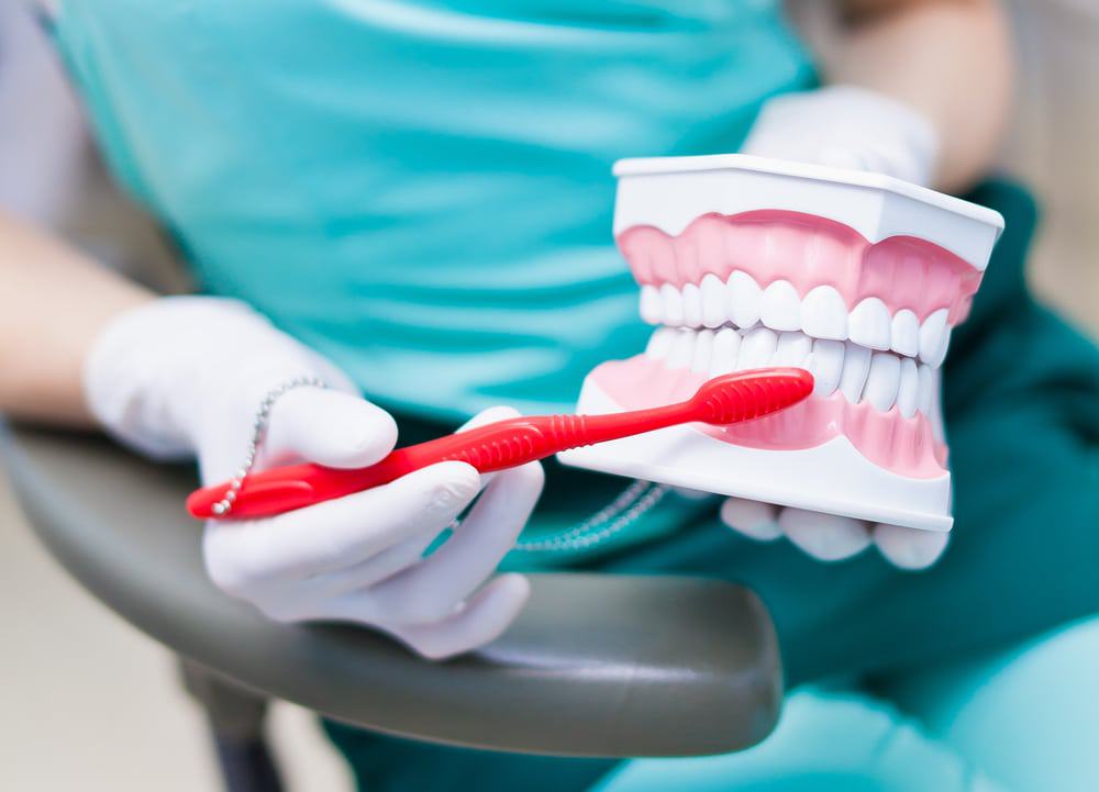 escovar os dentes, dentista