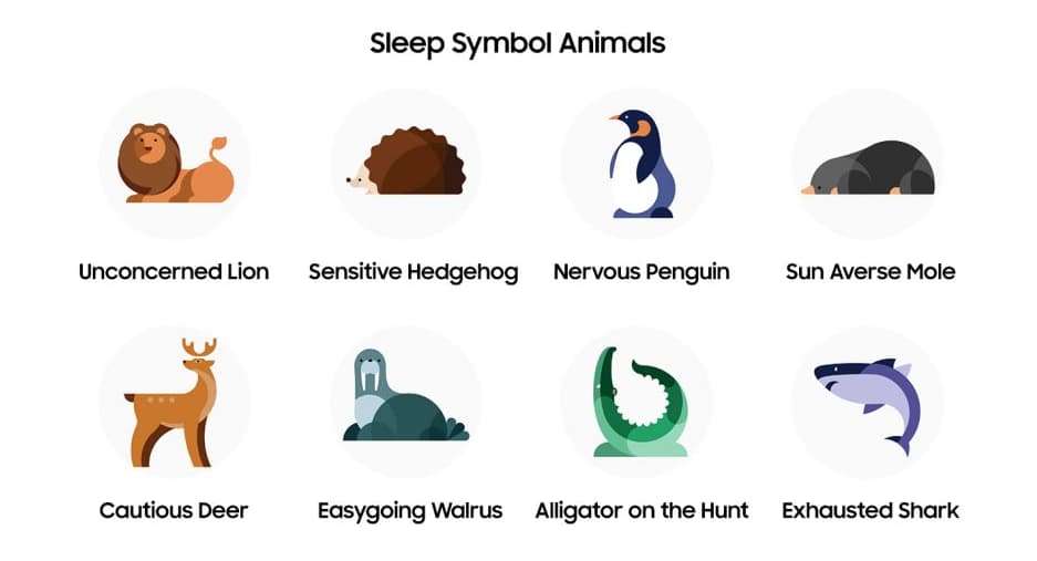 Nova atualização do Galaxy Watch 4 tem animais que simbolizam o tipo de sono do usuário