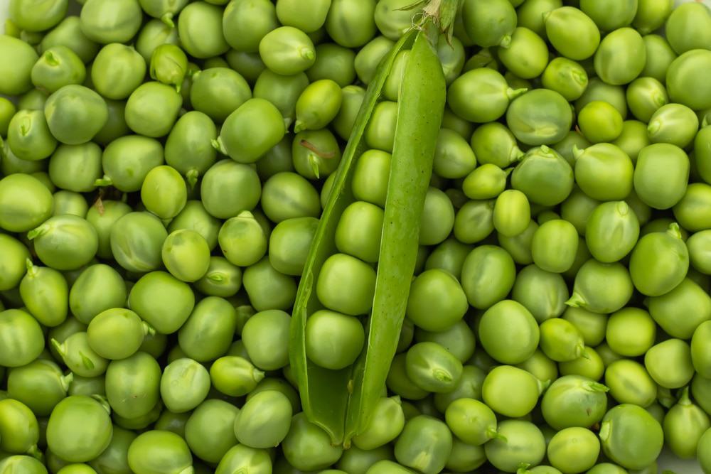 Aprendemos errado? Conheça 12 legumes que, na verdade, são frutos Desde cedo, aprendemos a diferenciar frutas e legumes de forma simples, onde as frutas seriam as partes doces consumidas como sobremesa e os legumes, os alimentos presentes em pratos salgados, como saladas, sopas e refogados. Aprendemos errado? Conheça 12 legumes que, na verdade, são frutos