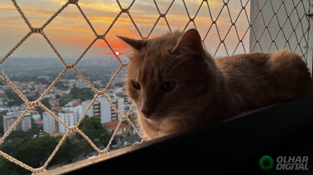 Foto tirada com o iPhone 13