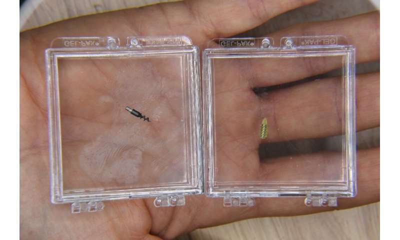 Micro rôbos