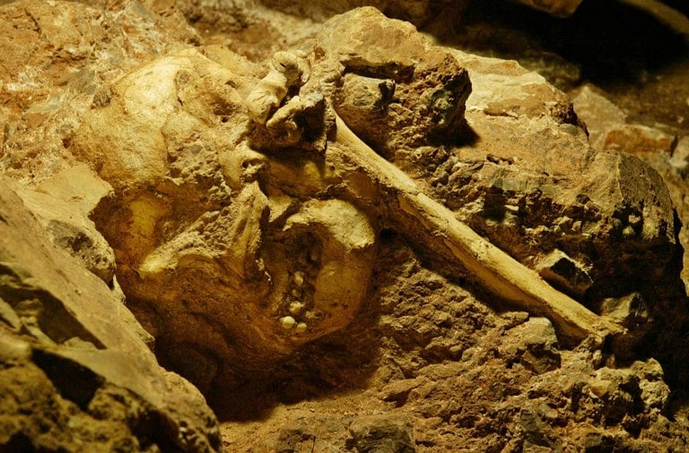 Fóssil do "Pé Pequeno", um esqueleto hominídeo quase completo escavado das Cavernas de Sterkfontein