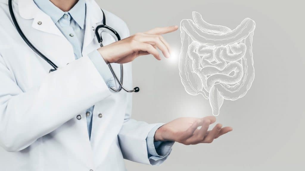 Médico aponta para intestino virtual