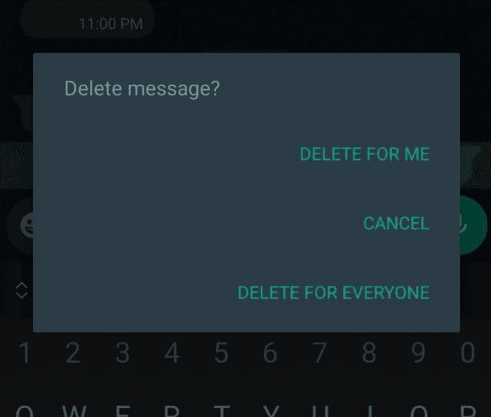 Aba para apagar mensagens no WhatsApp