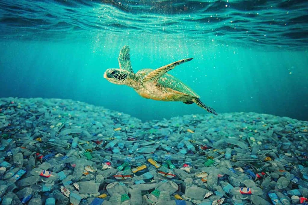 O plástico jogado no oceano é mais persistente do que imaginamos Quando pensamos em poluição plástica, é comum imaginar garrafas e sacolas flutuando nas ondas. Mas a realidade é mais complexa. Tartaruga nada em mar coberto por plástico