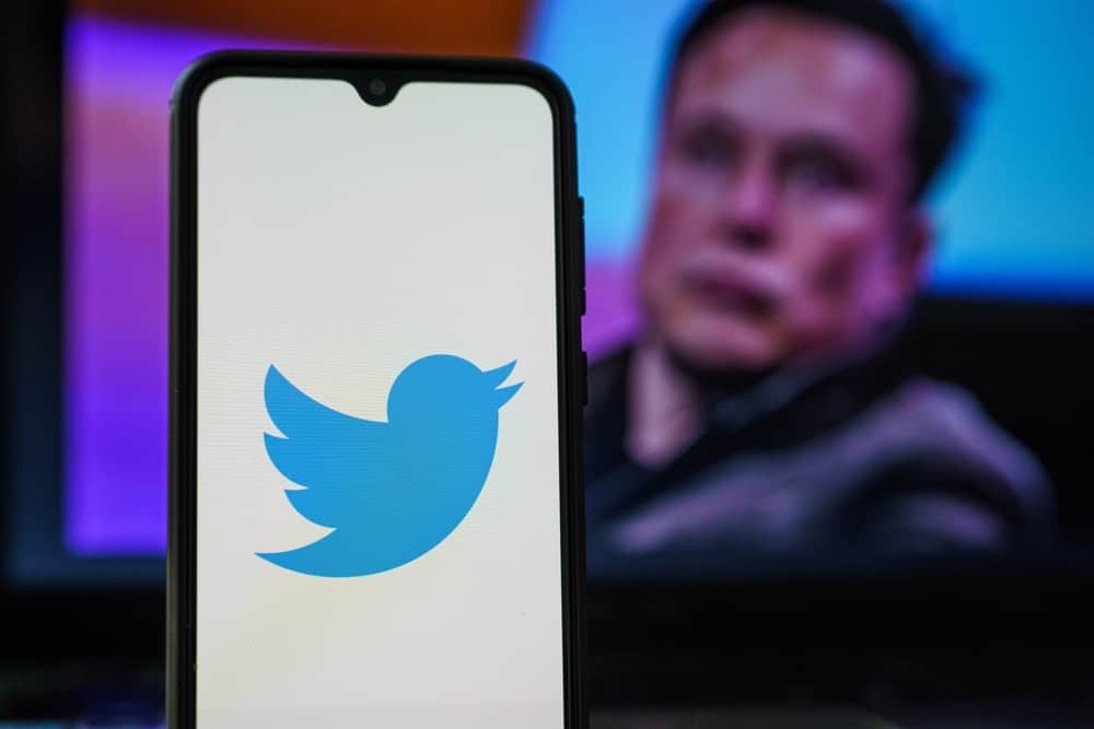 Twitter e Elon Musk