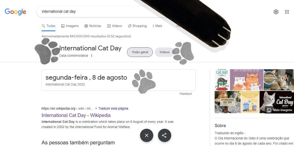 dia do gato