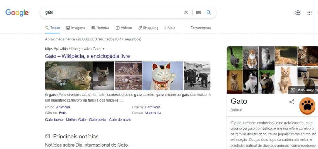 dia do gato