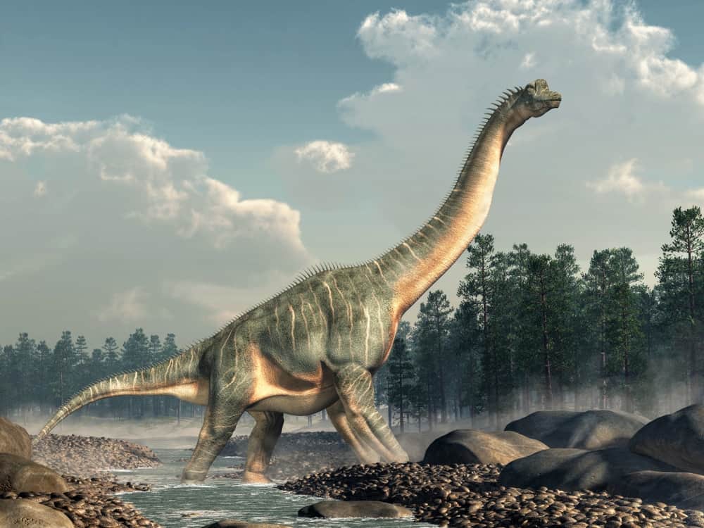 Ilustração de dinossauro saurópode