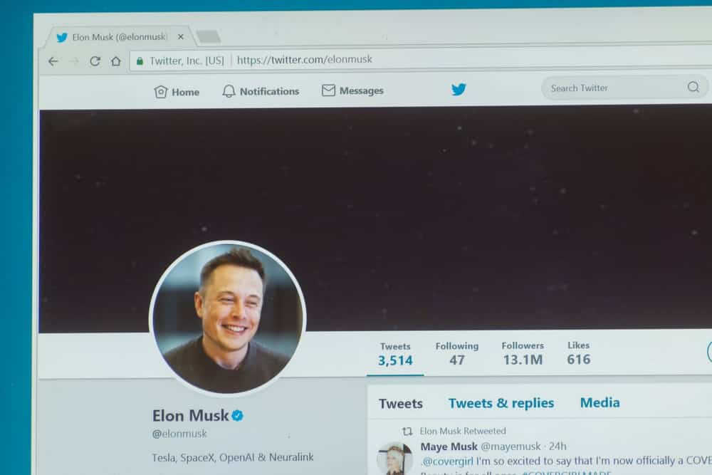 Perfil do Twitter do Elon Musk