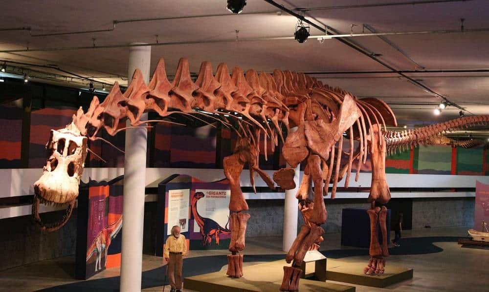 exposição dinossauros SP