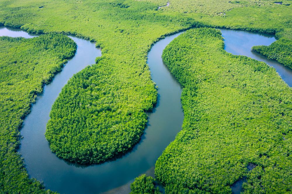 Visão aérea do rio Amazonas