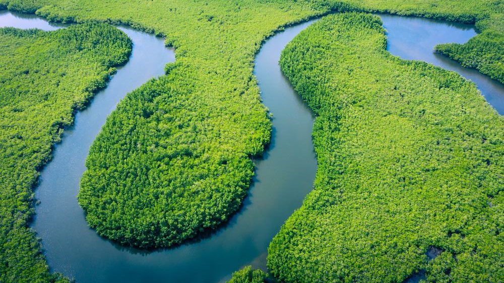 Visão aérea do rio Amazonas
