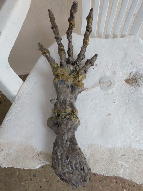 esqueleto-encontrado-na-praia